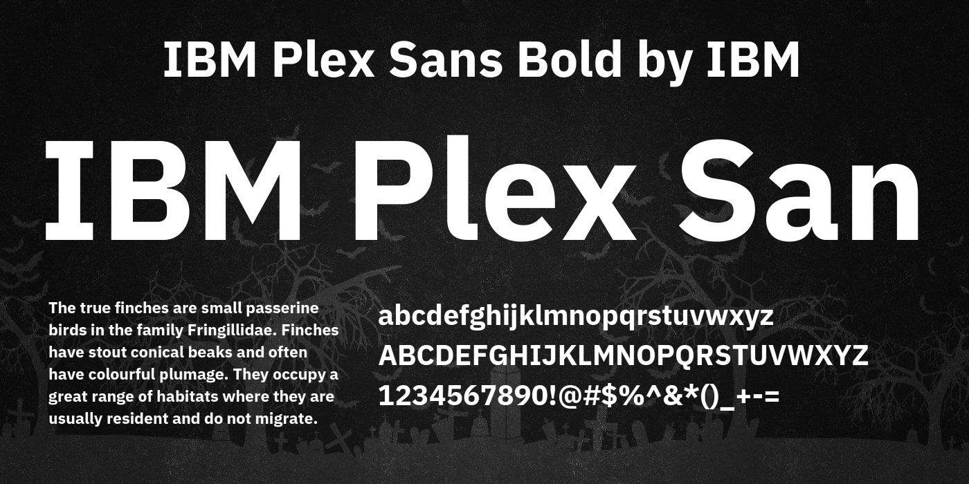 Czcionka IBM Plex Sans