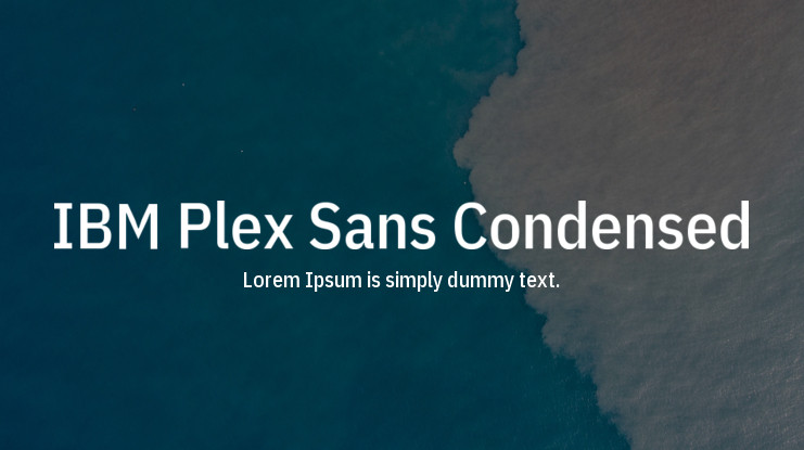Czcionka IBM Plex Sans Condensed