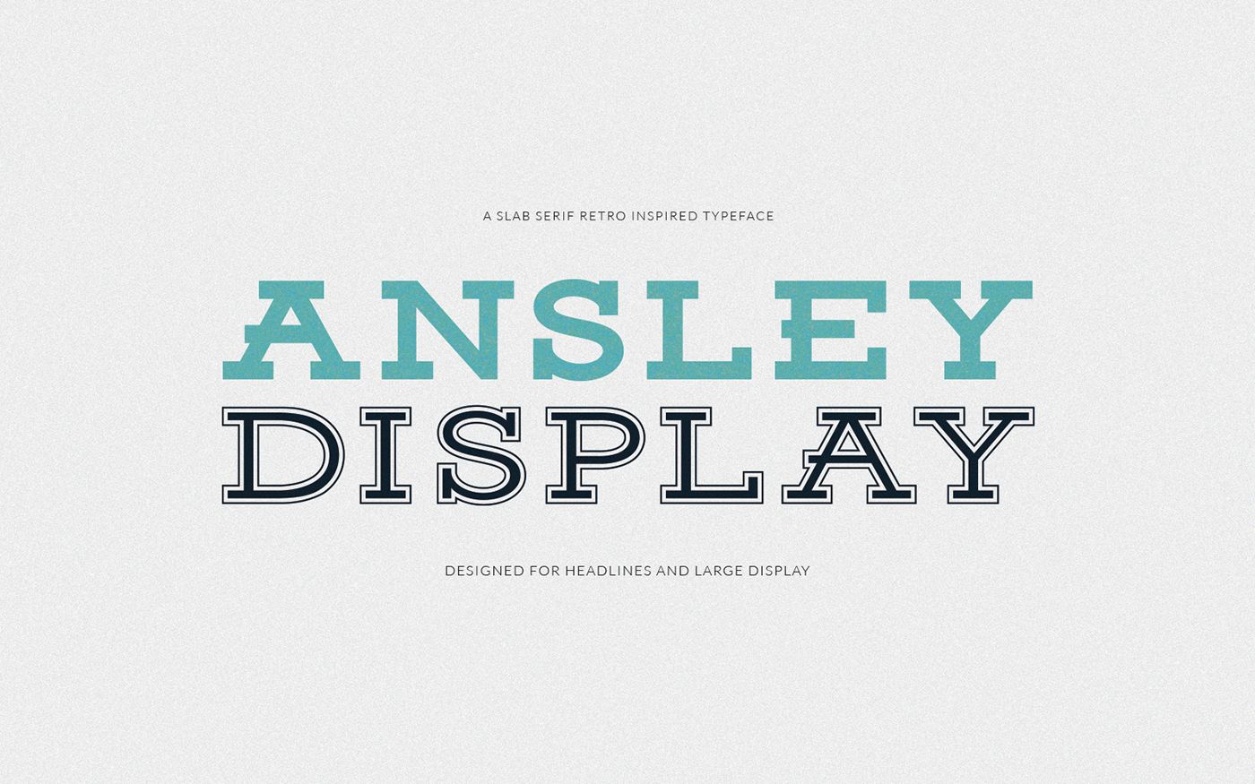 Ansley Display