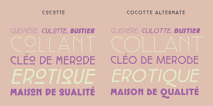 Cocotte