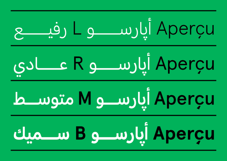 Czcionka Apercu Arabic Pro