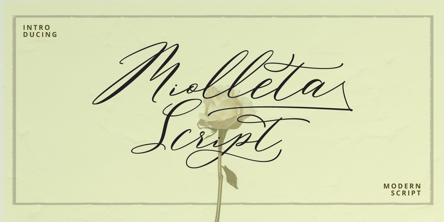 Czcionka Miolleta Script