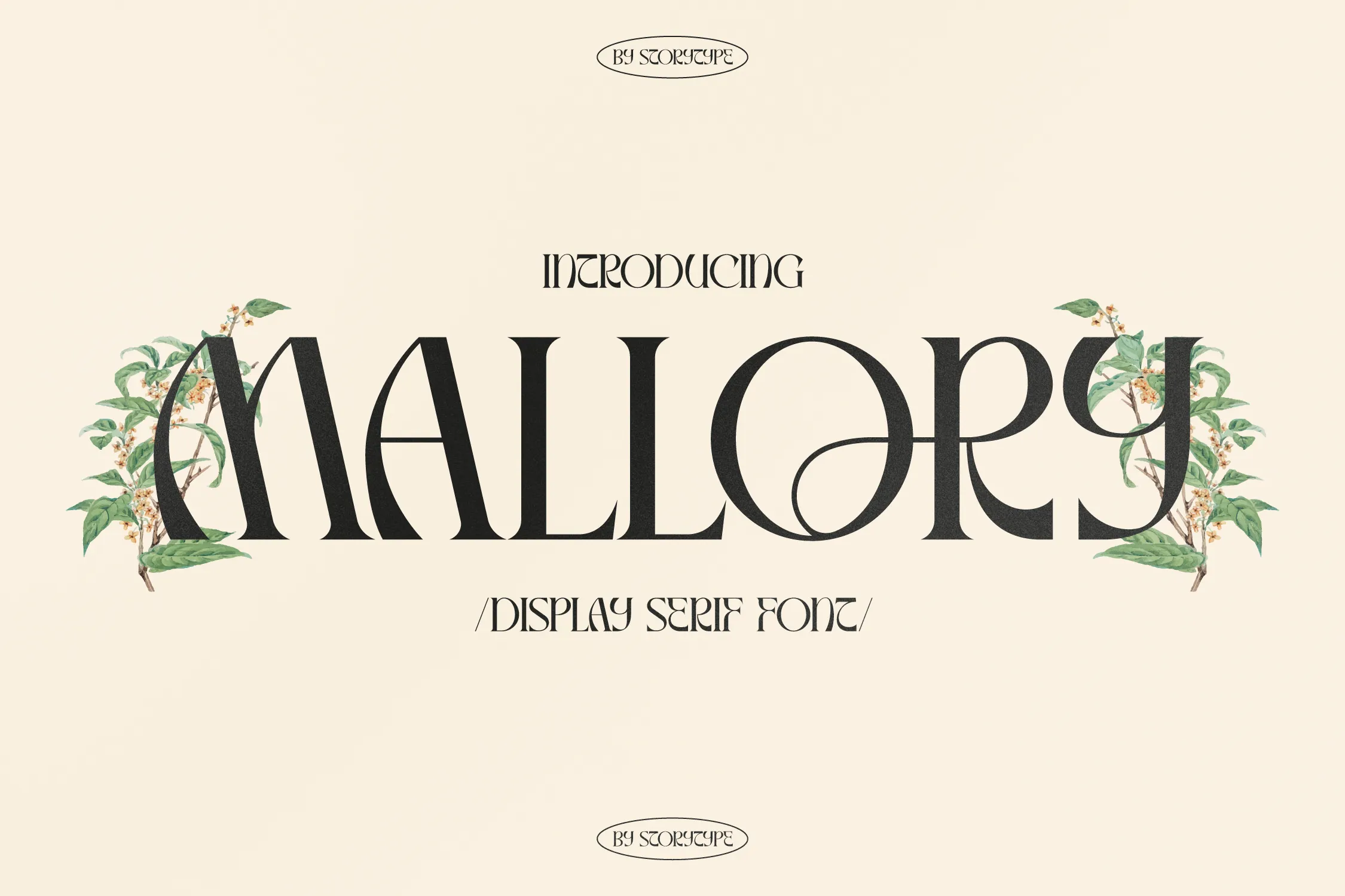 Czcionka Mallory Display Serif
