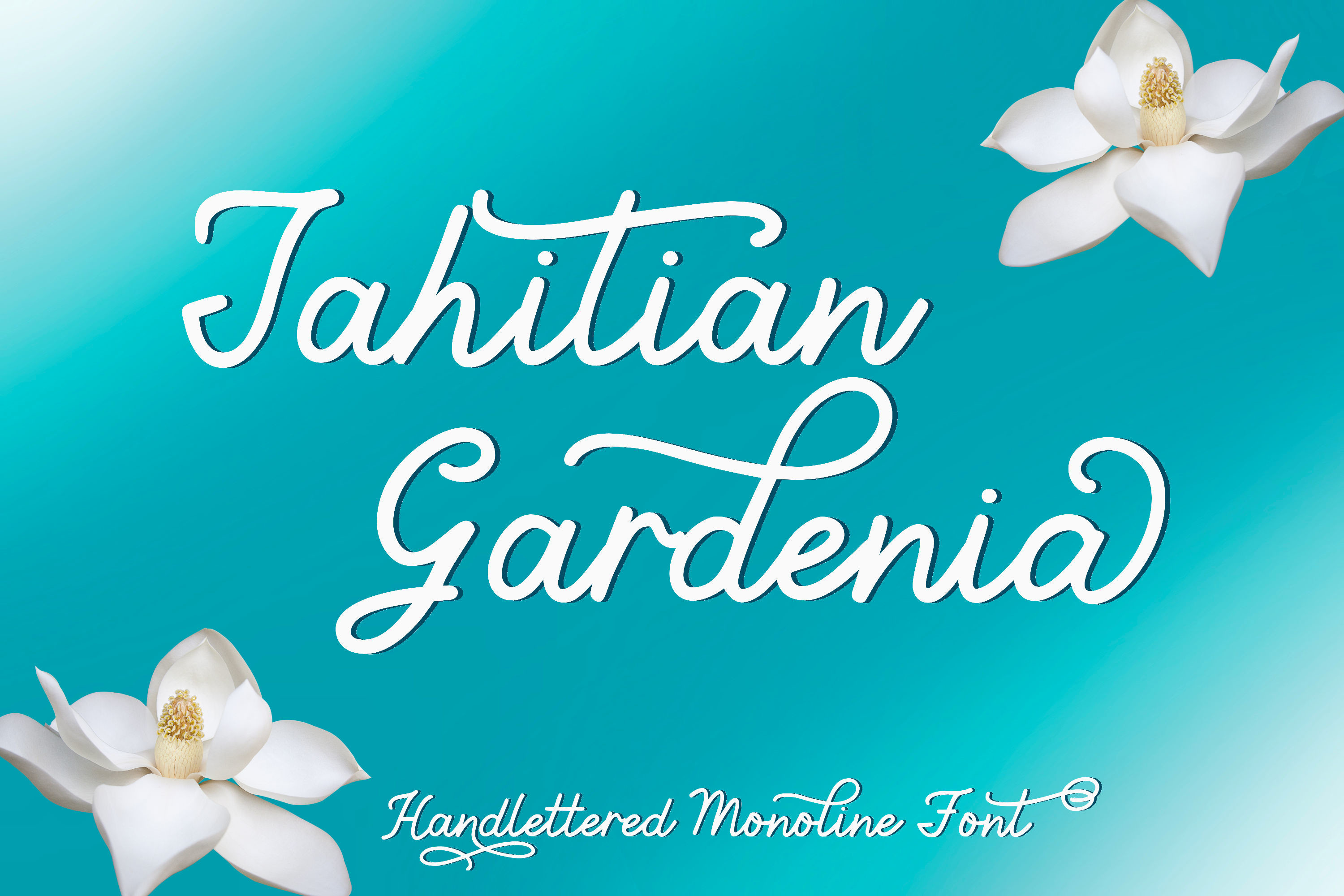 Czcionka Tahitian Gardenia