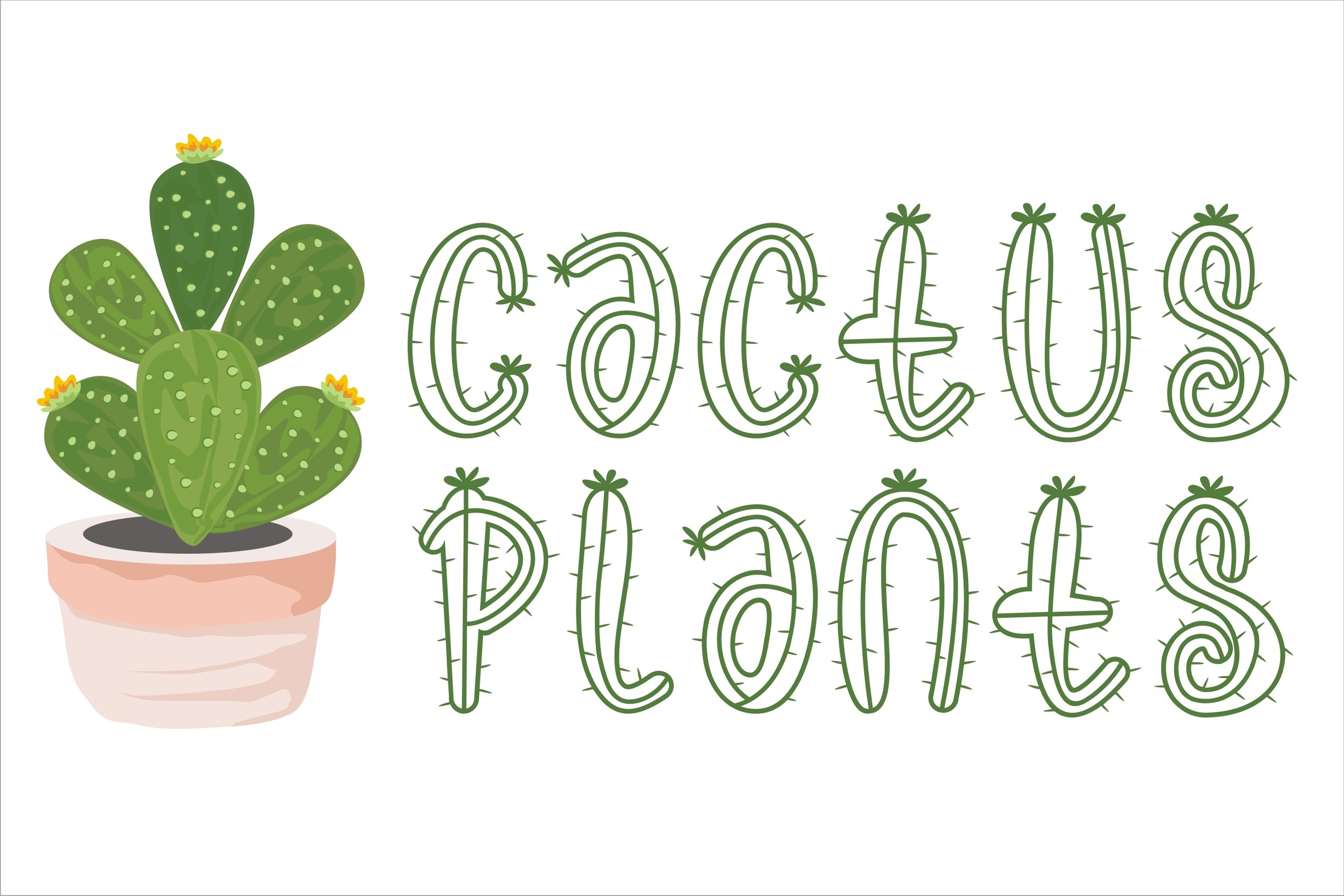 Cactus Plants