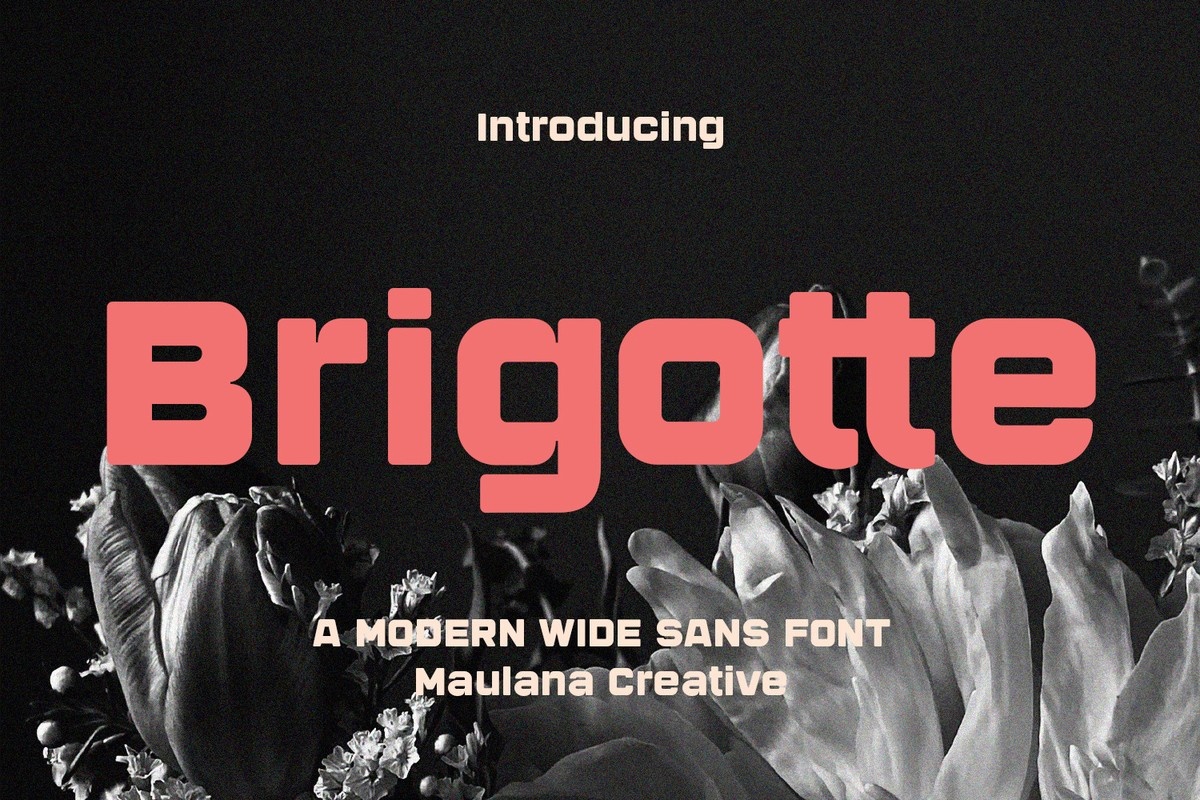 Brigotte