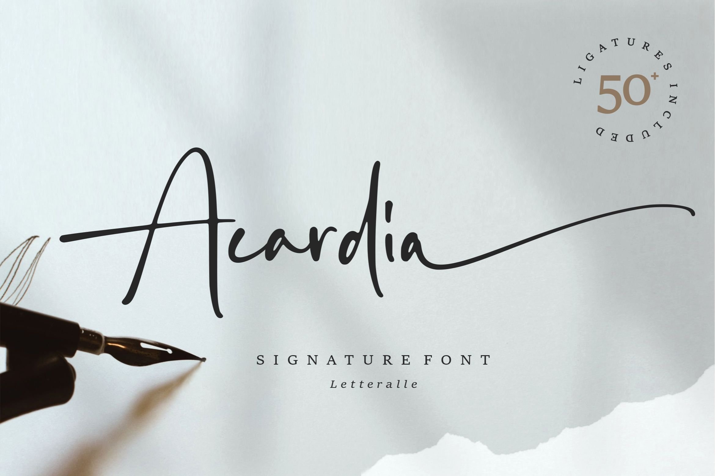 Czcionka Acardia Signature