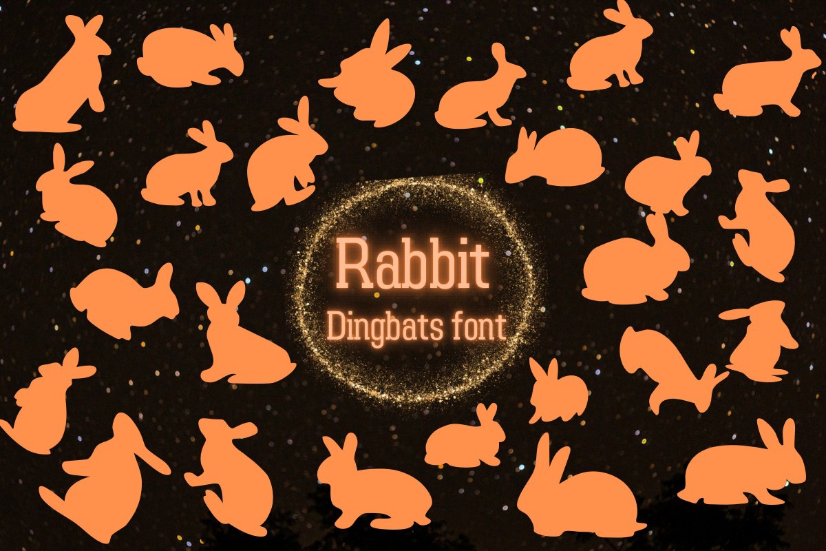 Rabbit