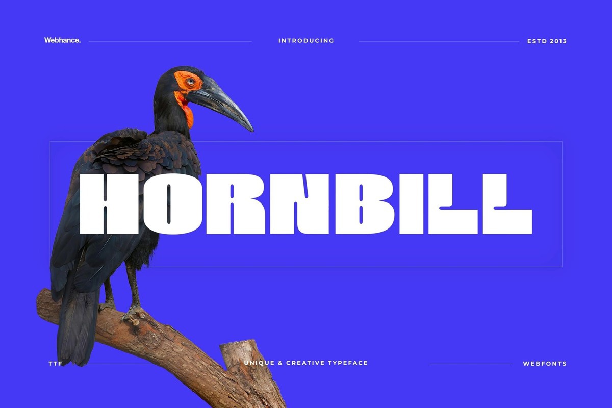 Czcionka Hornbill Display Bold