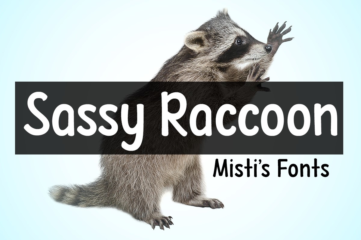 Czcionka Sassy Raccoon