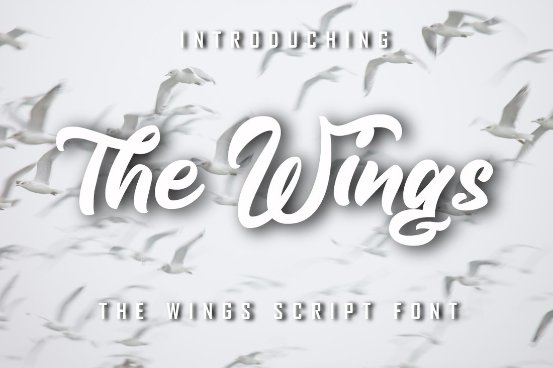 The Wings