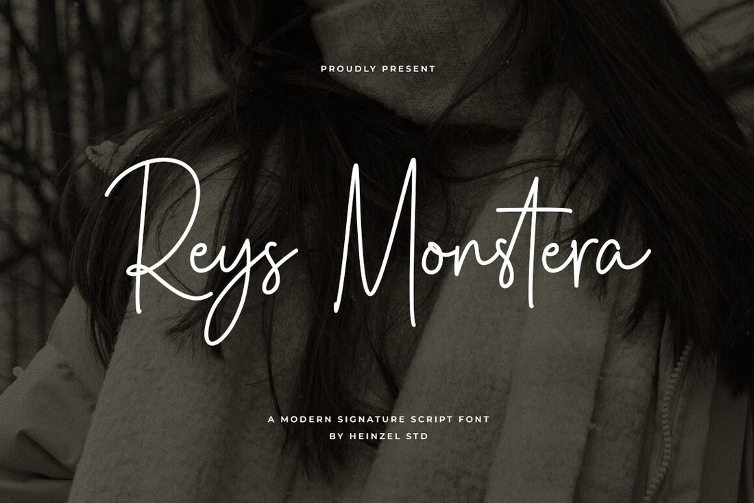 Reys Monstera