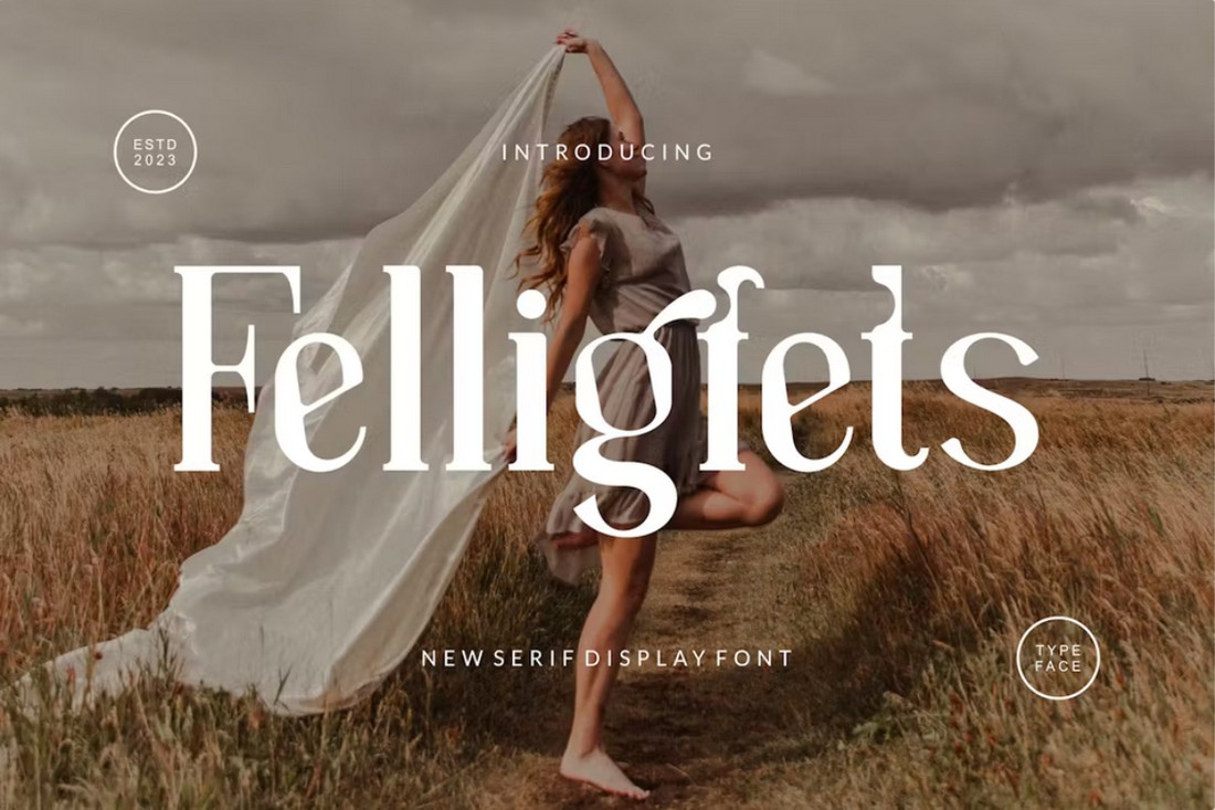 Felligfets