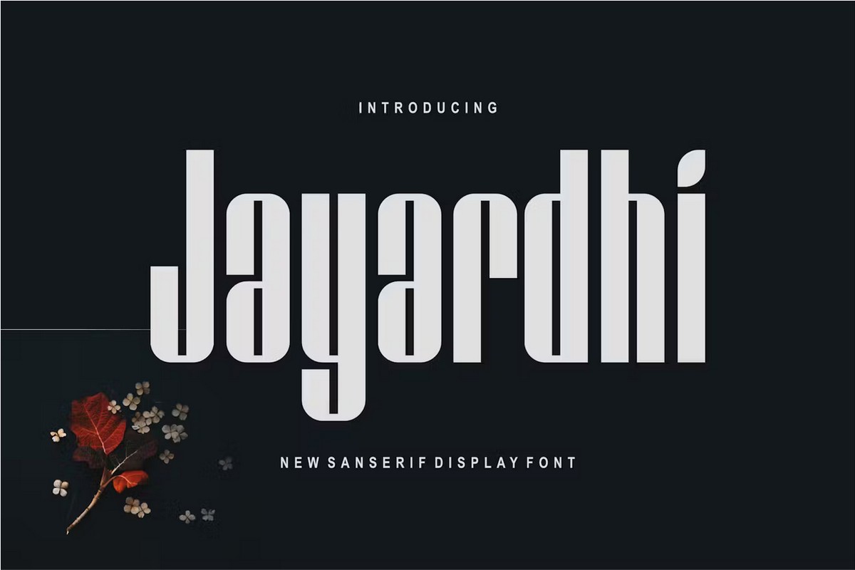 Jayardhi